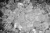detail-cube-ice.webp